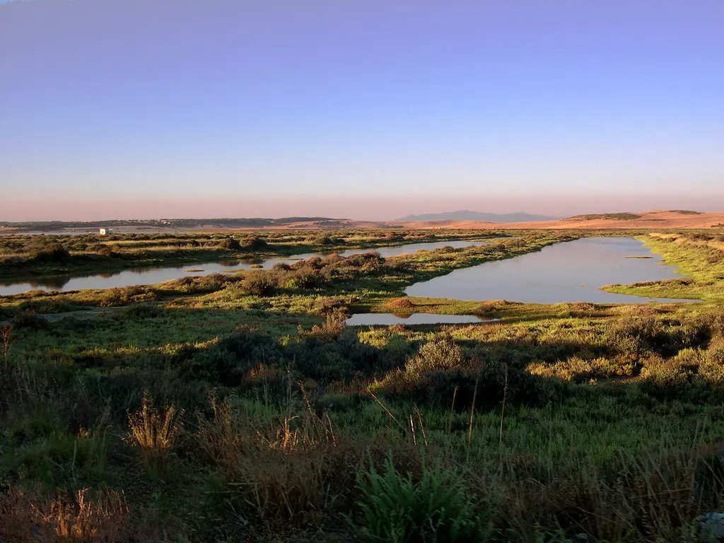 Observador de aves en las marismas de Barbate con binoculares
